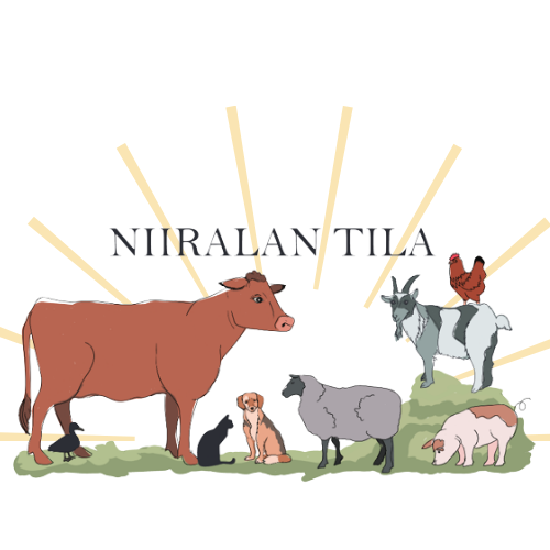 Niiralan Tila